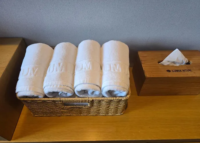 Hotel Lumia Tourist Seúl